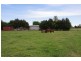 409 Pullar Road, Cobram VIC 3644