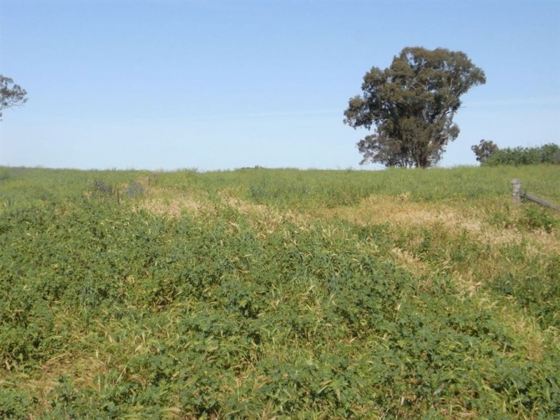 Lot/52 Kangan Road, Koonoomoo VIC 3644