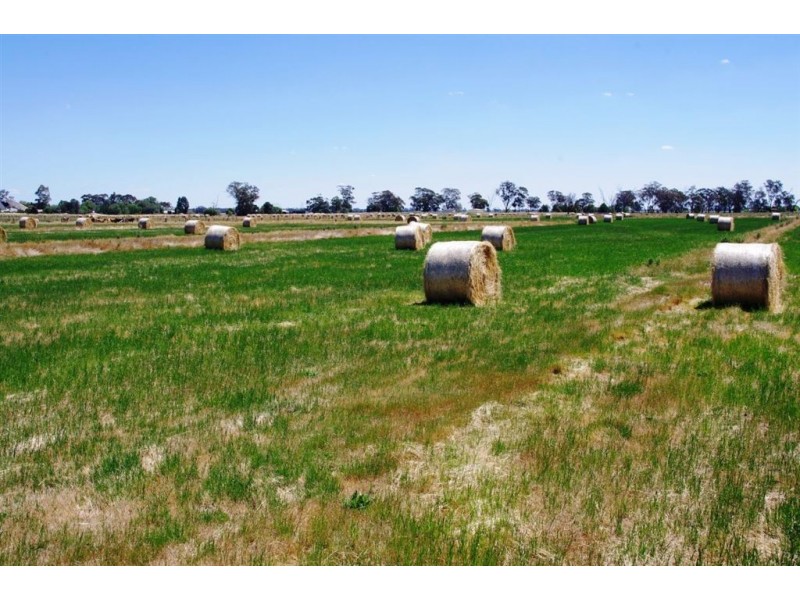 5002 Benalla-Tocumwal Road, Katamatite VIC 3649