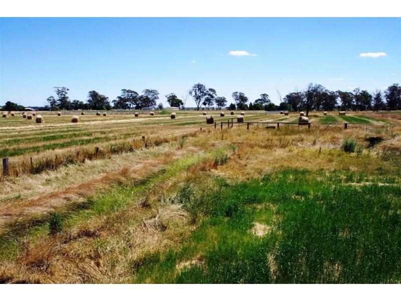 5002 Benalla-Tocumwal Road, Katamatite VIC 3649