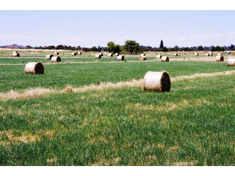 5002 Benalla-Tocumwal Road, Katamatite VIC 3649