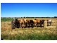 5002 Benalla-Tocumwal Road, Katamatite VIC 3649