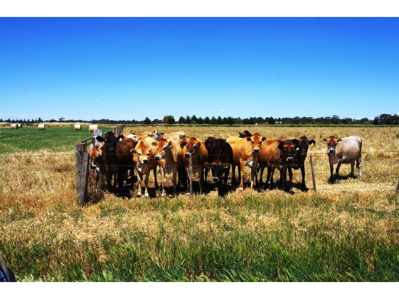 5002 Benalla-Tocumwal Road, Katamatite VIC 3649