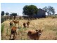 5002 Benalla-Tocumwal Road, Katamatite VIC 3649