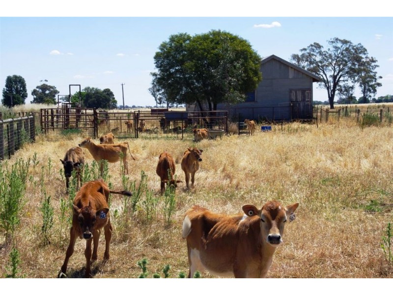 5002 Benalla-Tocumwal Road, Katamatite VIC 3649