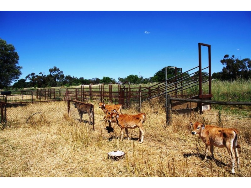5002 Benalla-Tocumwal Road, Katamatite VIC 3649