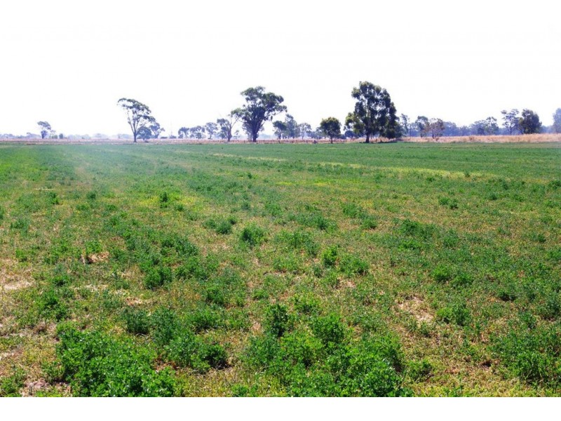 1815 Numurkah Road, Strathmerton VIC 3641