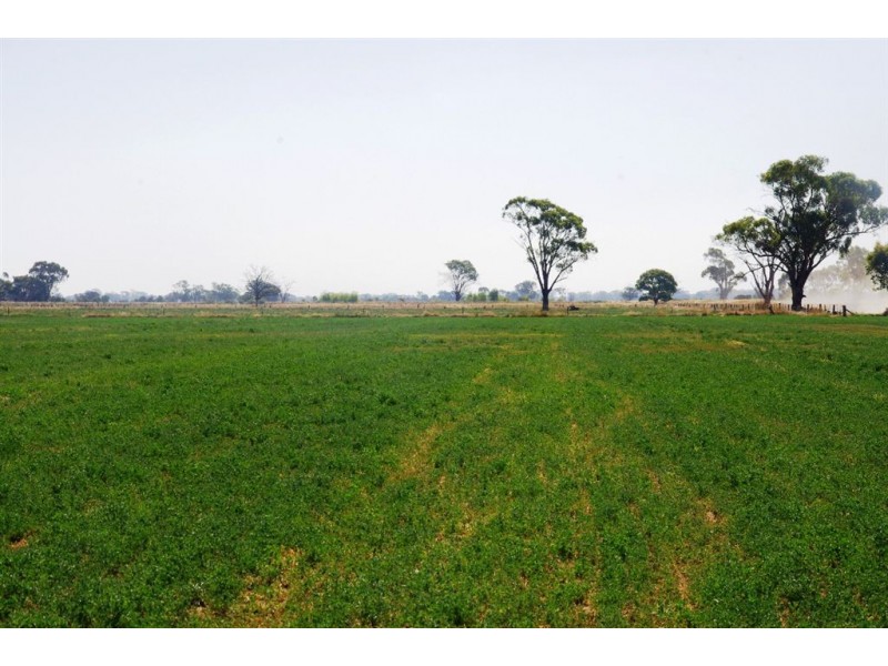 1815 Numurkah Road, Strathmerton VIC 3641