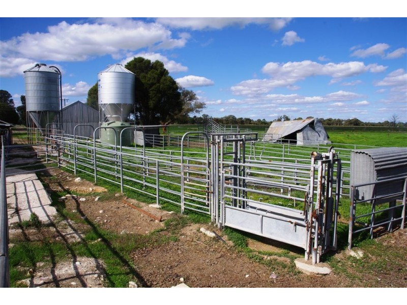 131 Mywee Road, Strathmerton VIC 3641