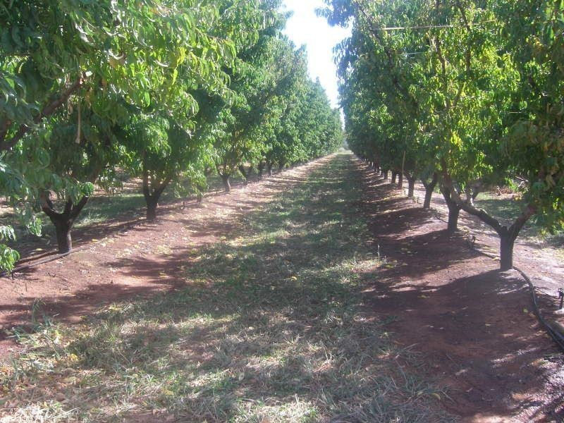 102 Cobram South Road, Cobram VIC 3644