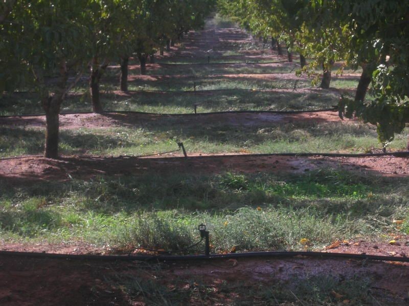 102 Cobram South Road, Cobram VIC 3644