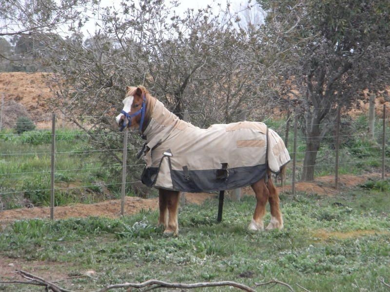 6035 Benalla-Tocumwal Road, Cobram VIC 3644