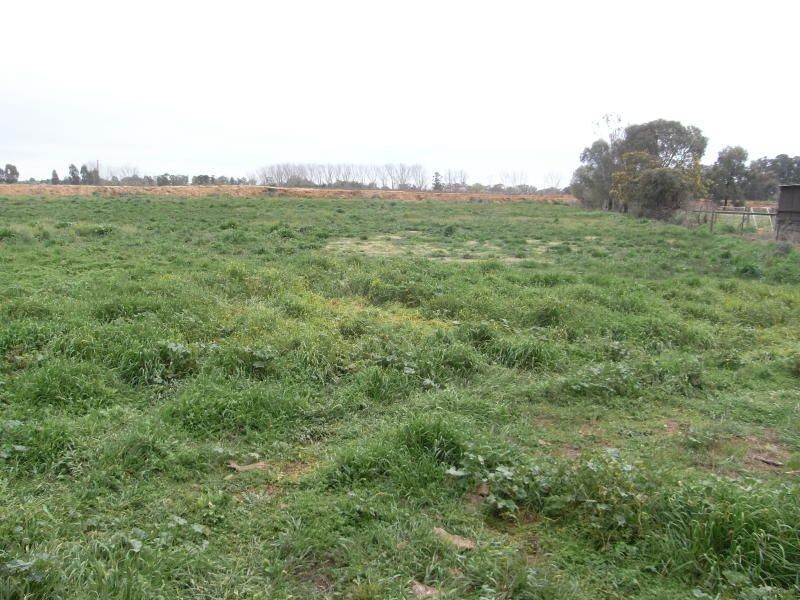 6035 Benalla-Tocumwal Road, Cobram VIC 3644