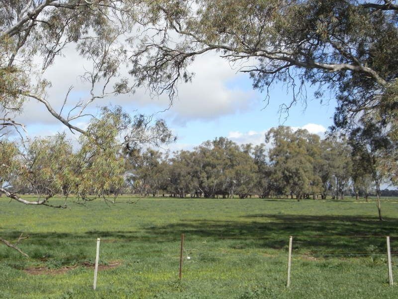 1634 Bearii East Road, Strathmerton VIC 3641