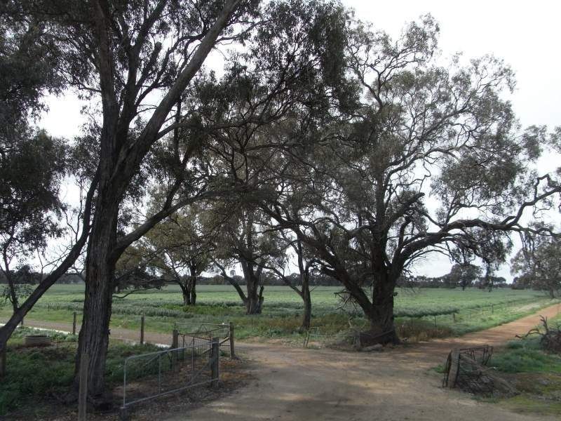 1634 Bearii East Road, Strathmerton VIC 3641