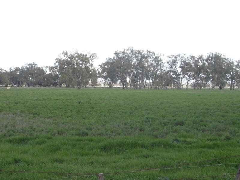 1634 Bearii East Road, Strathmerton VIC 3641