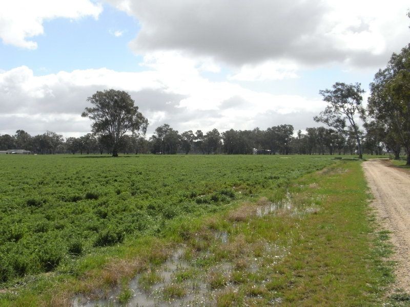 1634 Bearii East Road, Strathmerton VIC 3641