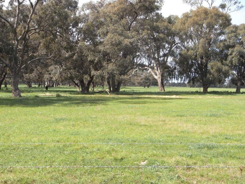 1634 Bearii East Road, Strathmerton VIC 3641