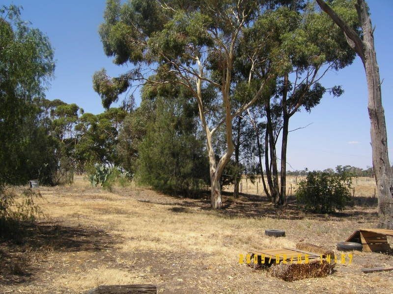 2366 Tocumwal Benalla Road, Cobram VIC 3644