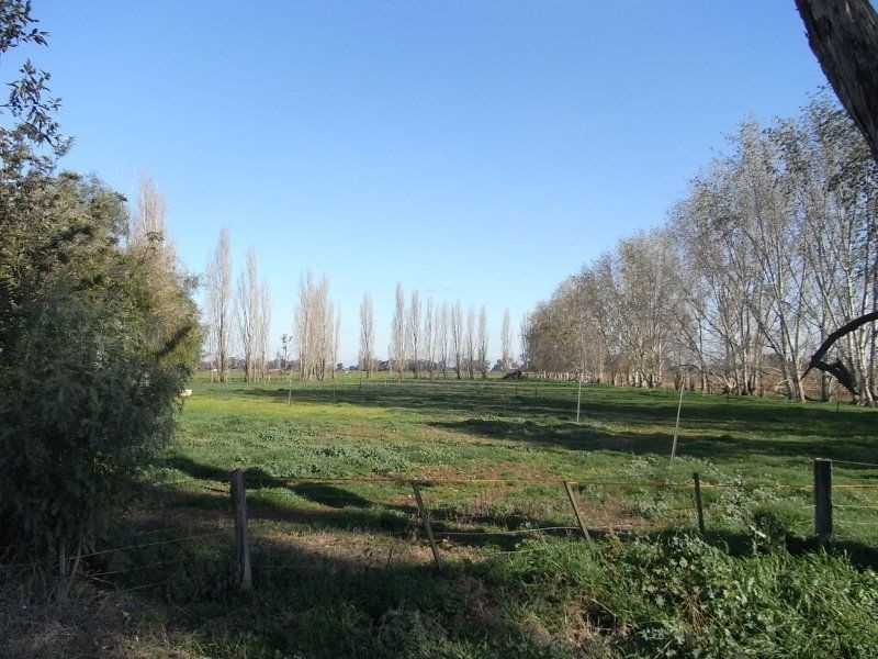 84 Healy Road, Cobram VIC 3644