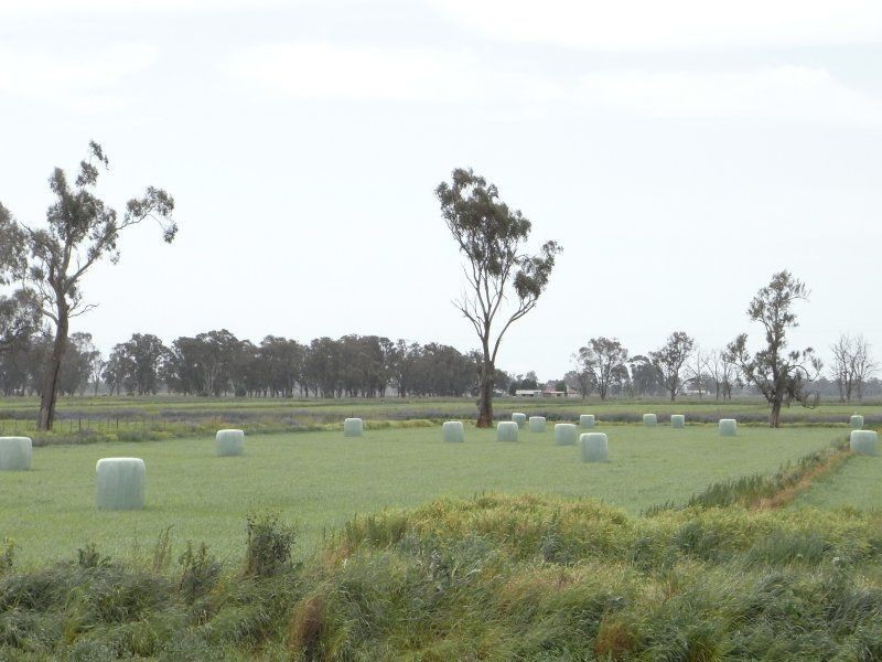 139 Montgomery Road, Yarroweyah VIC 3644