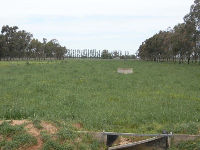 139 Montgomery Road, Yarroweyah VIC 3644