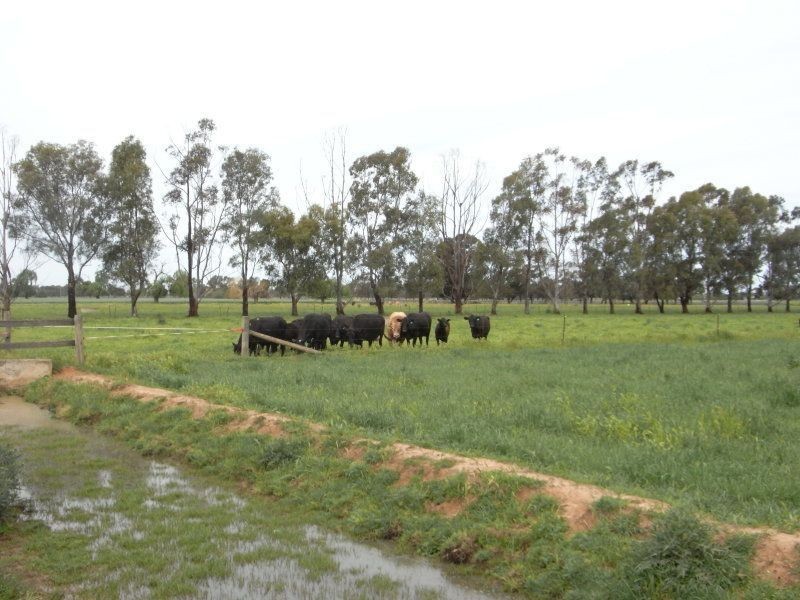 139 Montgomery Road, Yarroweyah VIC 3644