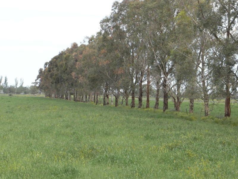 139 Montgomery Road, Yarroweyah VIC 3644