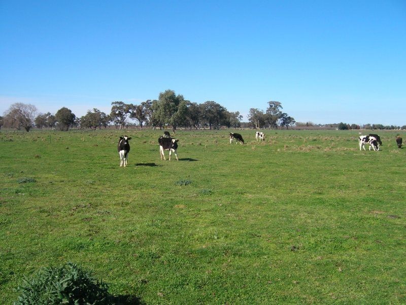 1721 Larissa Road, Yarroweyah VIC 3644