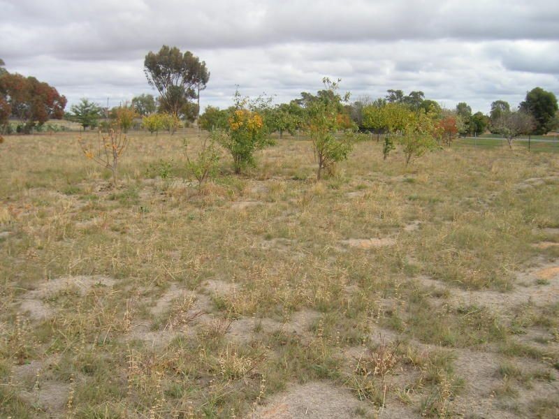 1 Manions Road, Bearii VIC 3641