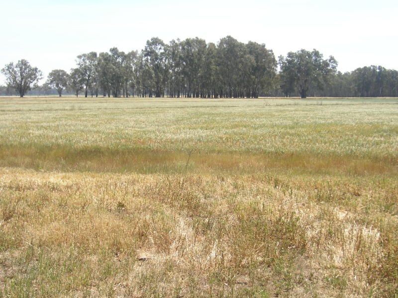 Lot 5 – 45 Ritchie Road, Cobram VIC 3644