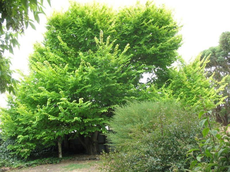 362 Gribbles Road, Cobden VIC 3266