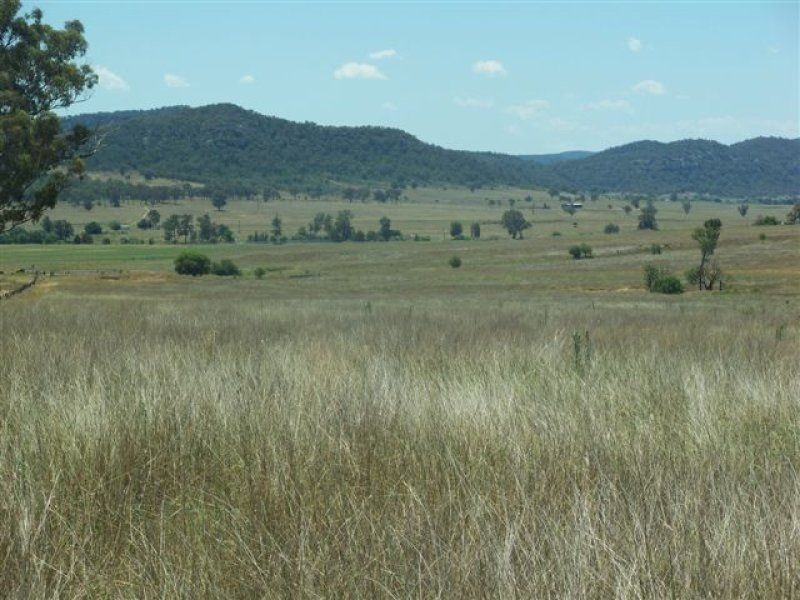 . ‘Bylong Valley Way’, Sandy Hollow NSW 2333