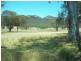 . ‘Bylong Valley Way’, Sandy Hollow NSW 2333