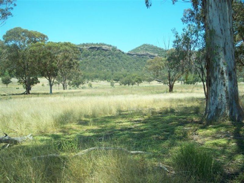 . ‘Bylong Valley Way’, Sandy Hollow NSW 2333