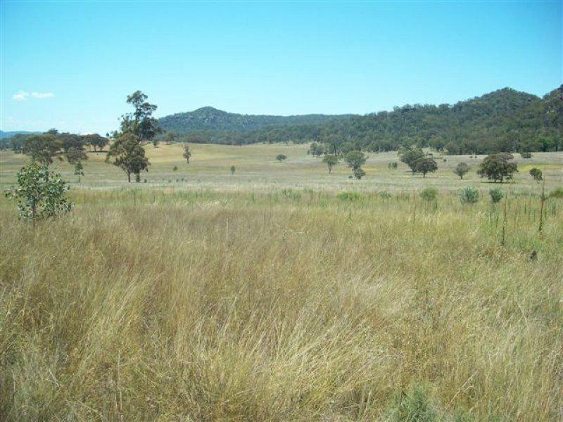 . ‘Bylong Valley Way’, Sandy Hollow NSW 2333