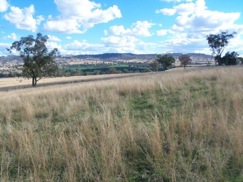 . ‘Glenroy’ Bunnan Via, Scone NSW 2337