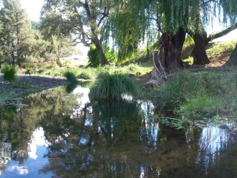 . ‘Glenroy’ Bunnan Via, Scone NSW 2337