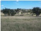 . ‘Glenroy’ Bunnan Via, Scone NSW 2337