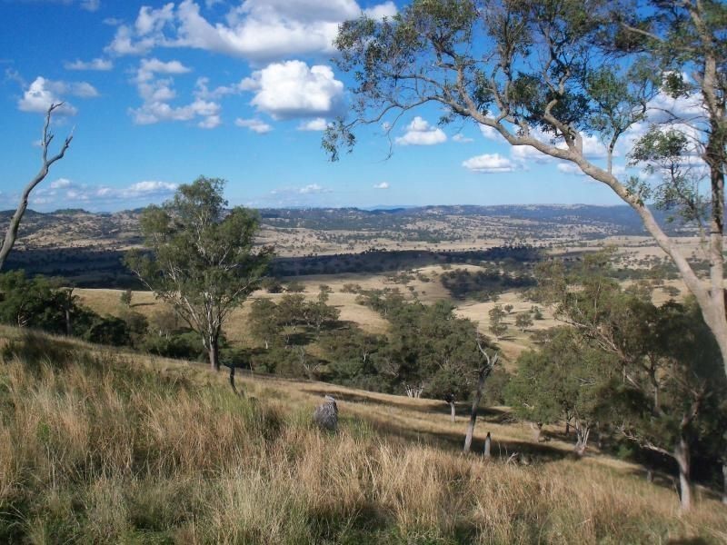 . ‘Glenroy’ Bunnan Via, Scone NSW 2337