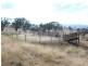 . ‘Glenroy’ Bunnan Via, Scone NSW 2337
