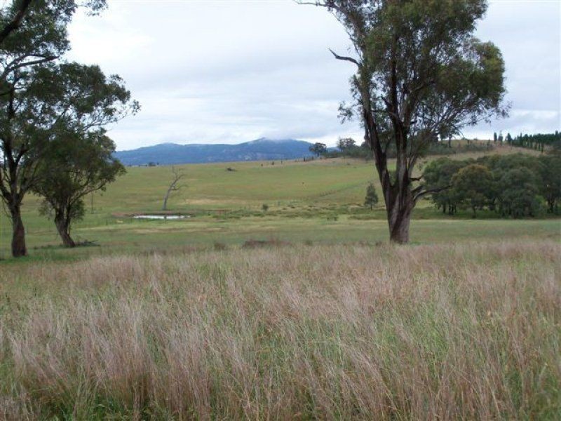 . ‘Erins Isle’, Scone NSW 2337