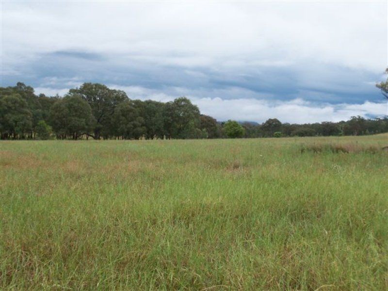 . ‘Erins Isle’, Scone NSW 2337