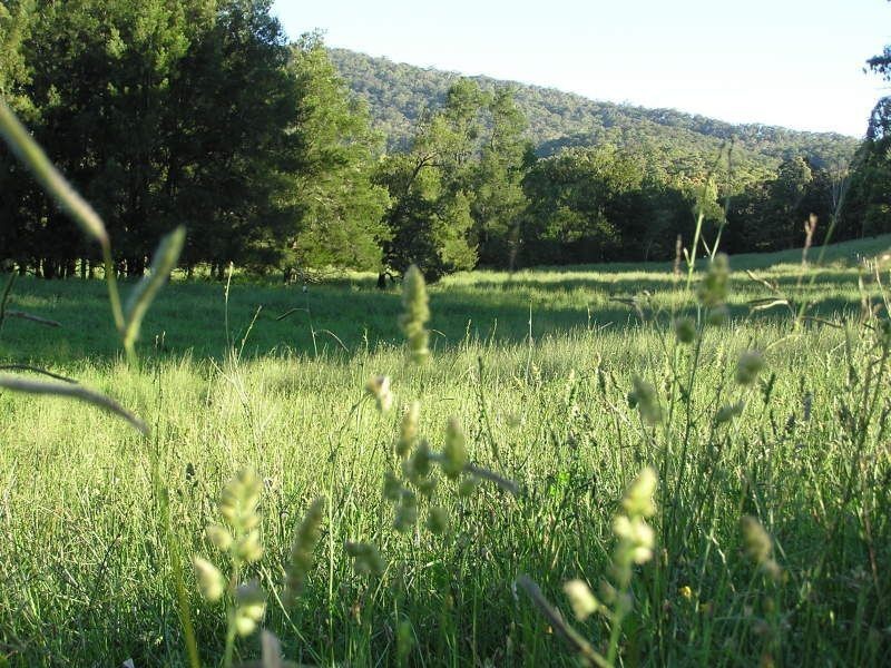 . ‘Brindabella Blue’, Nundle NSW 2340