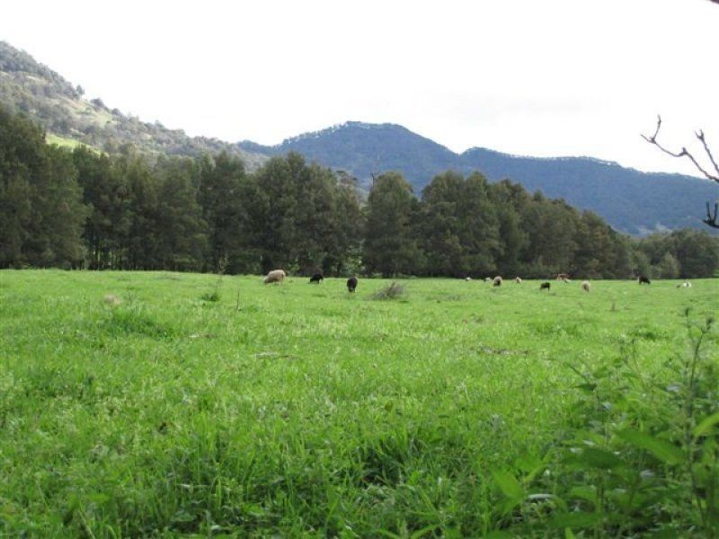 . ‘Brindabella Blue’, Nundle NSW 2340