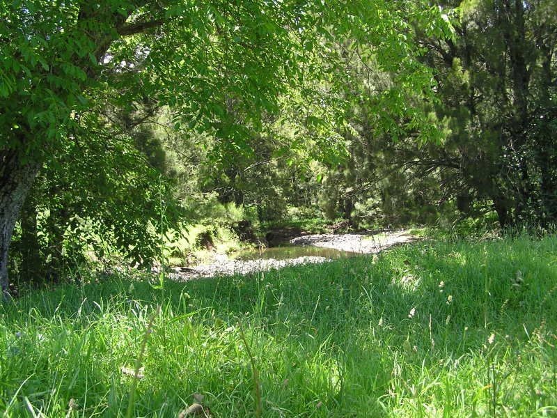 . ‘Brindabella Blue’, Nundle NSW 2340