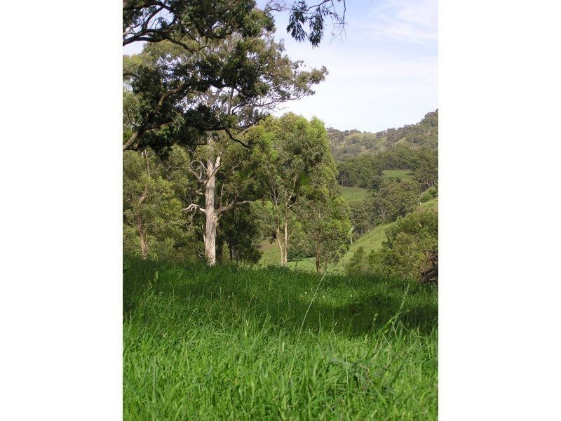 . ‘Brindabella Blue’, Nundle NSW 2340