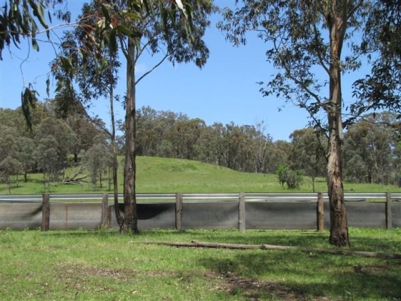 . ‘Brindabella Blue’, Nundle NSW 2340