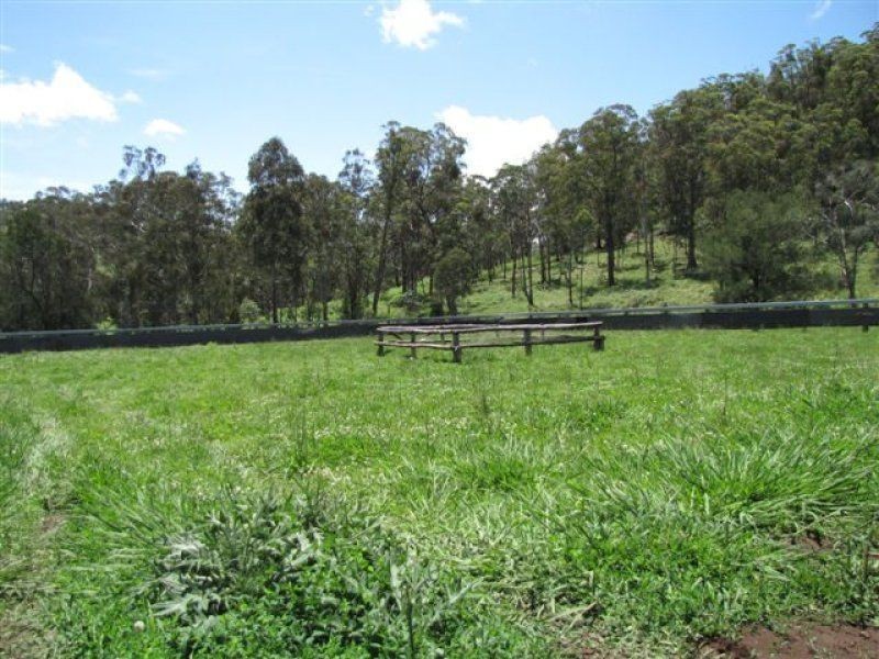 . ‘Brindabella Blue’, Nundle NSW 2340