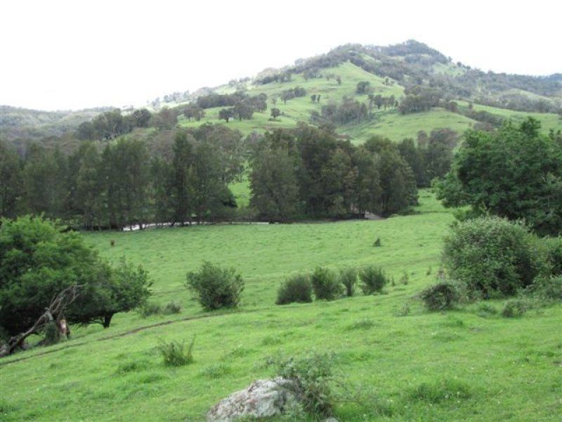 . ‘Brindabella Blue’, Nundle NSW 2340